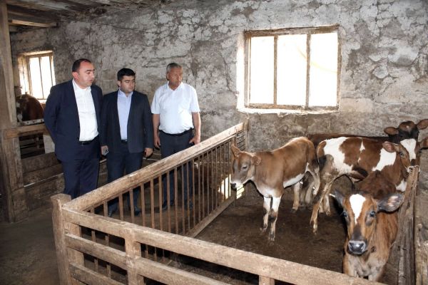 Orxan Abbasov heyvandarlıq təsərrüfatına baxış keçirib