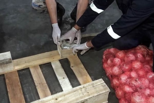 Külli miqdarda narkotik vasitə - qurudulmuş marixuana aşkar edilib