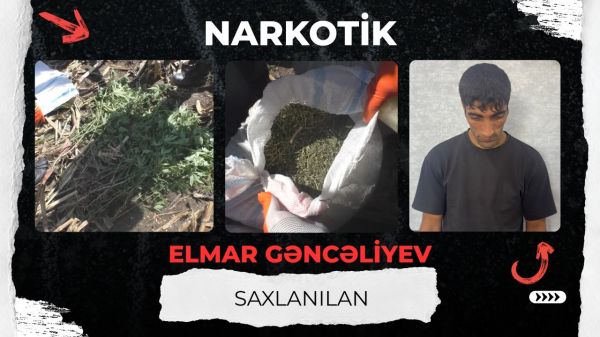 Polis Balakəndə külli miqdarda narkotik vasitə aşkarlayıb