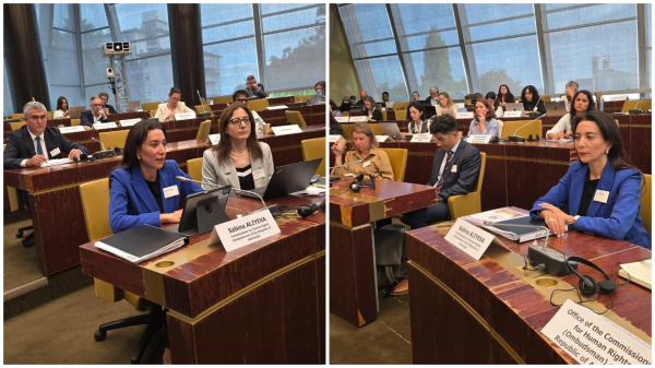 Səbinə Əliyeva Strasburqda İkinci Biznes və İnsan Hüquqları Forumunda iştirak edib