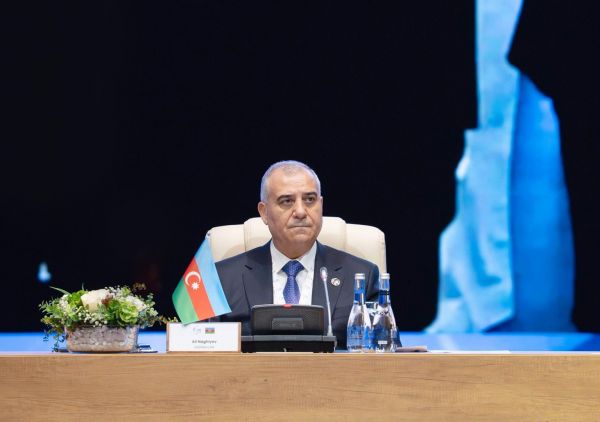 Beynəlxalq təhlükəsizlik sistemi dərin keçid dövrü yaşayır - Əli Nağıyev