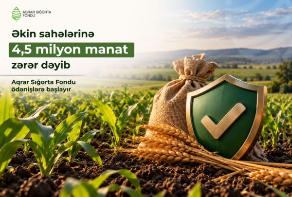 Aqrar Sığorta Fondu əkin sahələrinə dəymiş zərərlər üzrə ödənişlərə başlayır