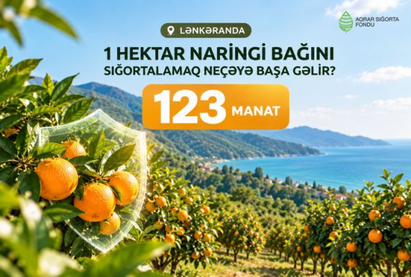 Naringi bağlarının sığortalanması fermerlərin risklərdən qorunmasına imkan verir