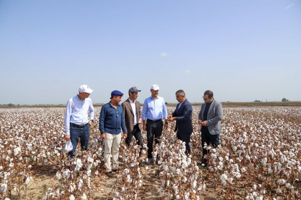 “Textile Horizon” MMC-nin təşkilatçılığı ilə Füzulidə “Açıq Tarla Günü” keçirilib