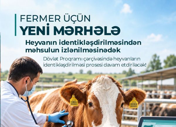 Fermer üçün yeni mərhələ: heyvanın identikləşdirilməsindən məhsulun izlənilməsinədək