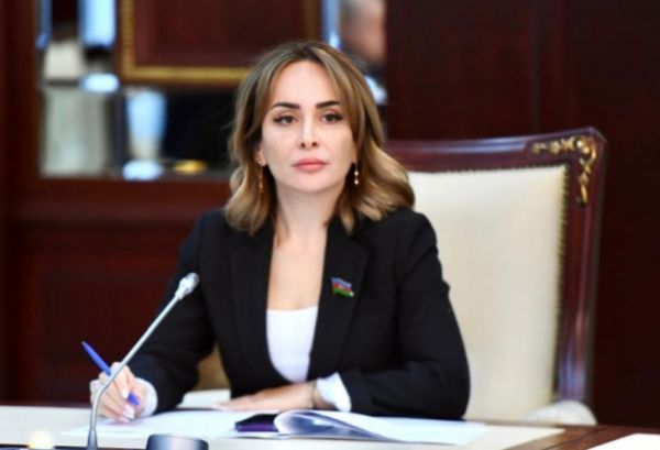 Azərbaycanın təhlükəsizlik siyasəti bundan sonra da əsas prioritetlər sırasındadır - ŞƏRH