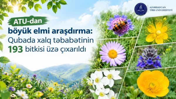 ATU-dan böyük elmi araşdırma: - Qubada xalq təbabətinin 193 bitkisi üzə çıxarıldı