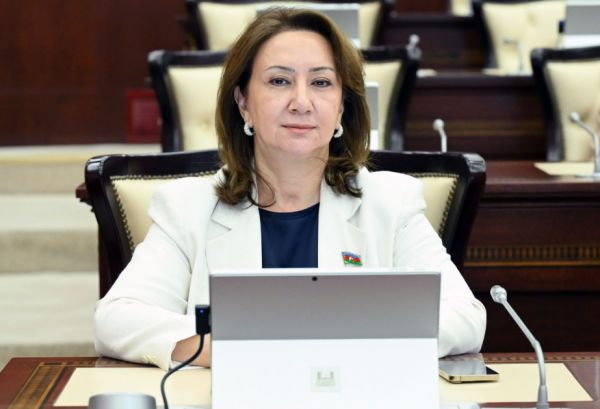 Milli birlik və müstəqil siyasət Azərbaycanın beynəlxalq nüfuzunun əsasını təşkil edir - ŞƏRH